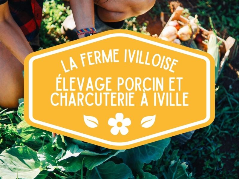 La Ferme Ivilloise - Élevage porcin et charcuterie artisanale à Iville