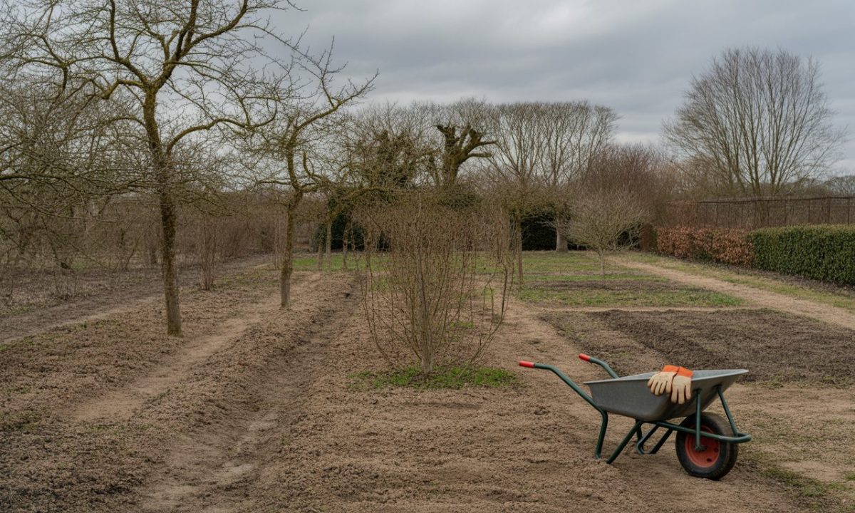 découvrez pourquoi il peut être judicieux de ralentir en fin janvier plutôt que d'agir précipitamment, pour mieux gérer vos objectifs et garder votre équilibre.