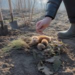 découvrez comment identifier les crottes de martre facilement et éviter les confusions avec d'autres traces animales grâce à nos conseils pratiques.
