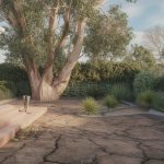 découvrez les inconvénients méconnus de l'eucalyptus que l'on réalise souvent trop tard, pour mieux connaître cette plante avant de l'adopter.