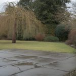 découvrez les inconvénients méconnus du saule pleureur et ce qu'il faut vraiment savoir avant de l'adopter dans votre jardin.